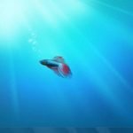 Windows 7 build 7057 vs. Vista, XP and older 7 builds