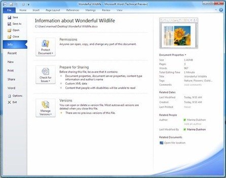 microsoft office 2010 backstage preview